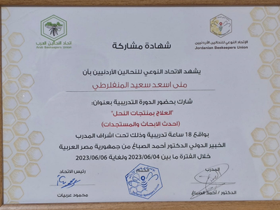 شهادة 6