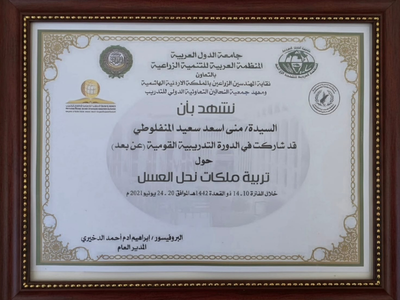 شهادة 7